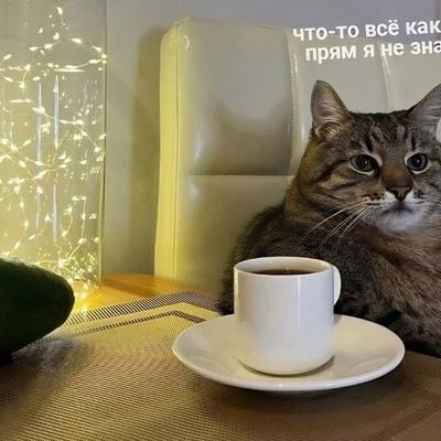Малахов Юра