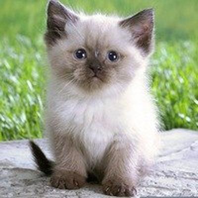 Сергей Калиба