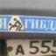 Роман Николаевич