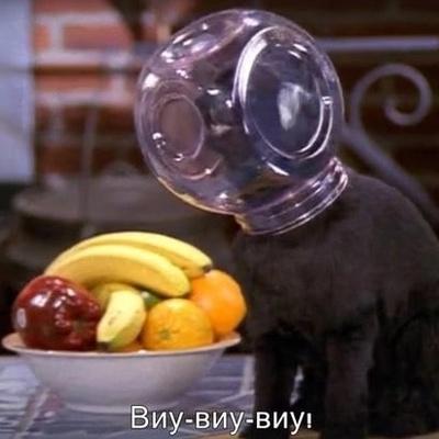 Леон Элди