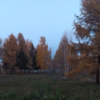 Сергей Янков